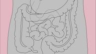 Šta maleno trodimenzionalno crevo može da nam kaže o gastrointestinalnim poremećajima