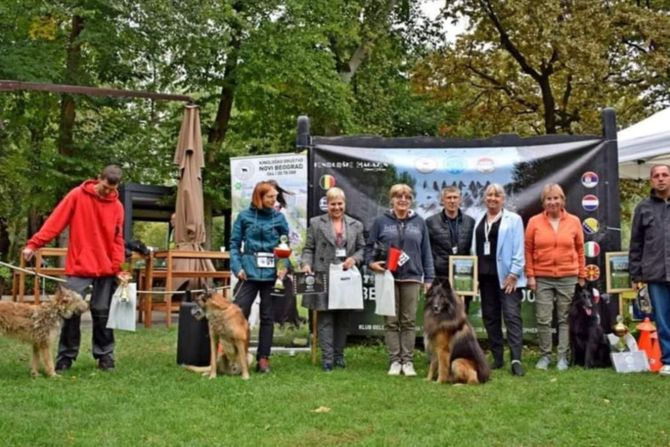 Pobednički psi Sedme specijalizovane izložbe belgijskih ovčara u Beogradu