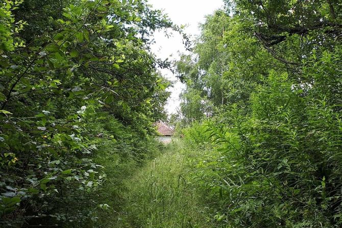 Selo Mrkovica, Dragiša Savić Selo Mrkovica, Dragiša Savić