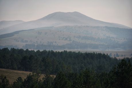 Zlatibor, priroda, planina Zlatibor, priroda, planina