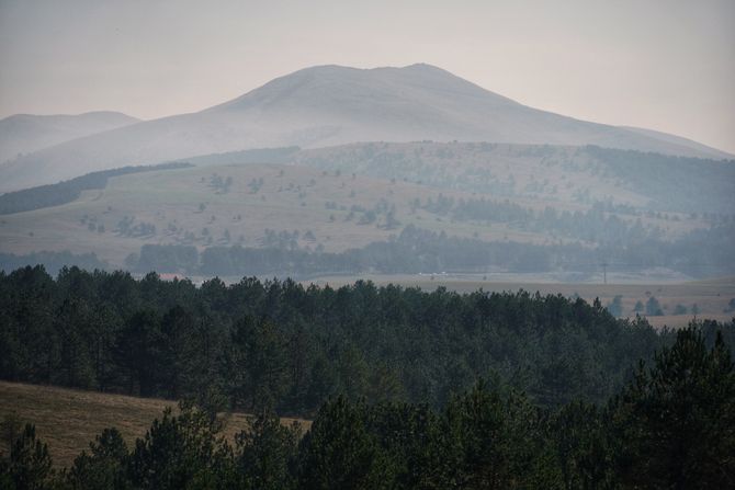 Zlatibor, priroda, planina Zlatibor, priroda, planina