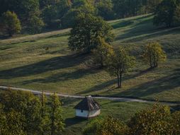 Zlatibor, priroda, planina