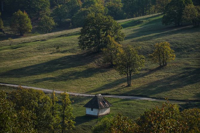 Zlatibor, priroda, planina