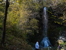 Zlatibor, priroda, planina, vodopad