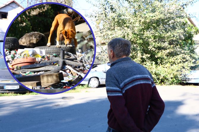 Smeće u Zemunu Smeće u Zemunu