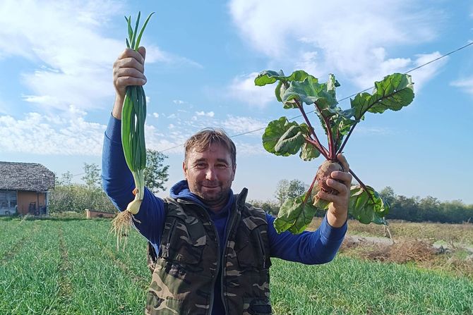 Dalibor Roksandić mladi luk