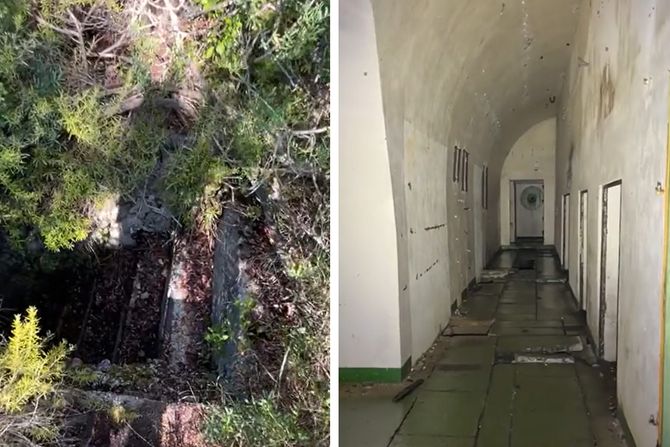 stepenice u sumi stepenice u sumi