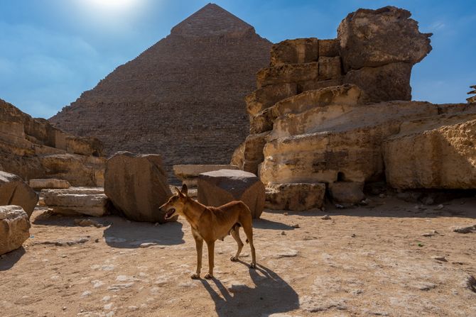 Pas na piramidi Pas na piramidi