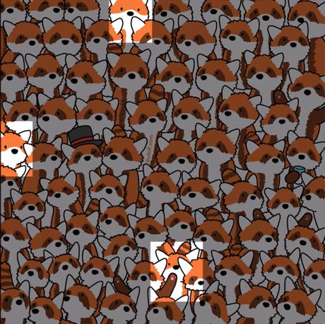 Dudolf skrivalica lisica Dudolf skrivalica lisica