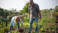 3 biljke koje treba da zasadite sada da bi vam cvetale u proleće