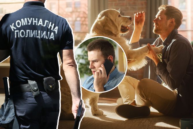 Pas vlasnik stan ,pas i ljut muškarac Pas vlasnik stan ,pas i ljut muškarac