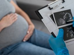 Beba, trudnoća, ultra zvuk