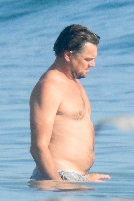 Leonardo DiCaprio Leonardo DiCaprio