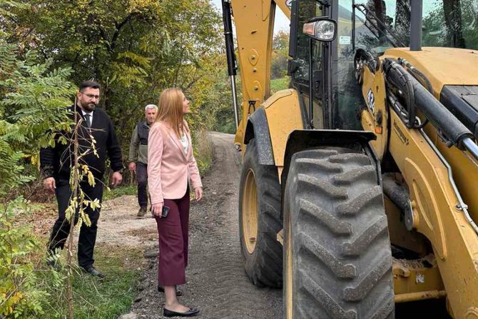 Opština Palilula Opština Palilula