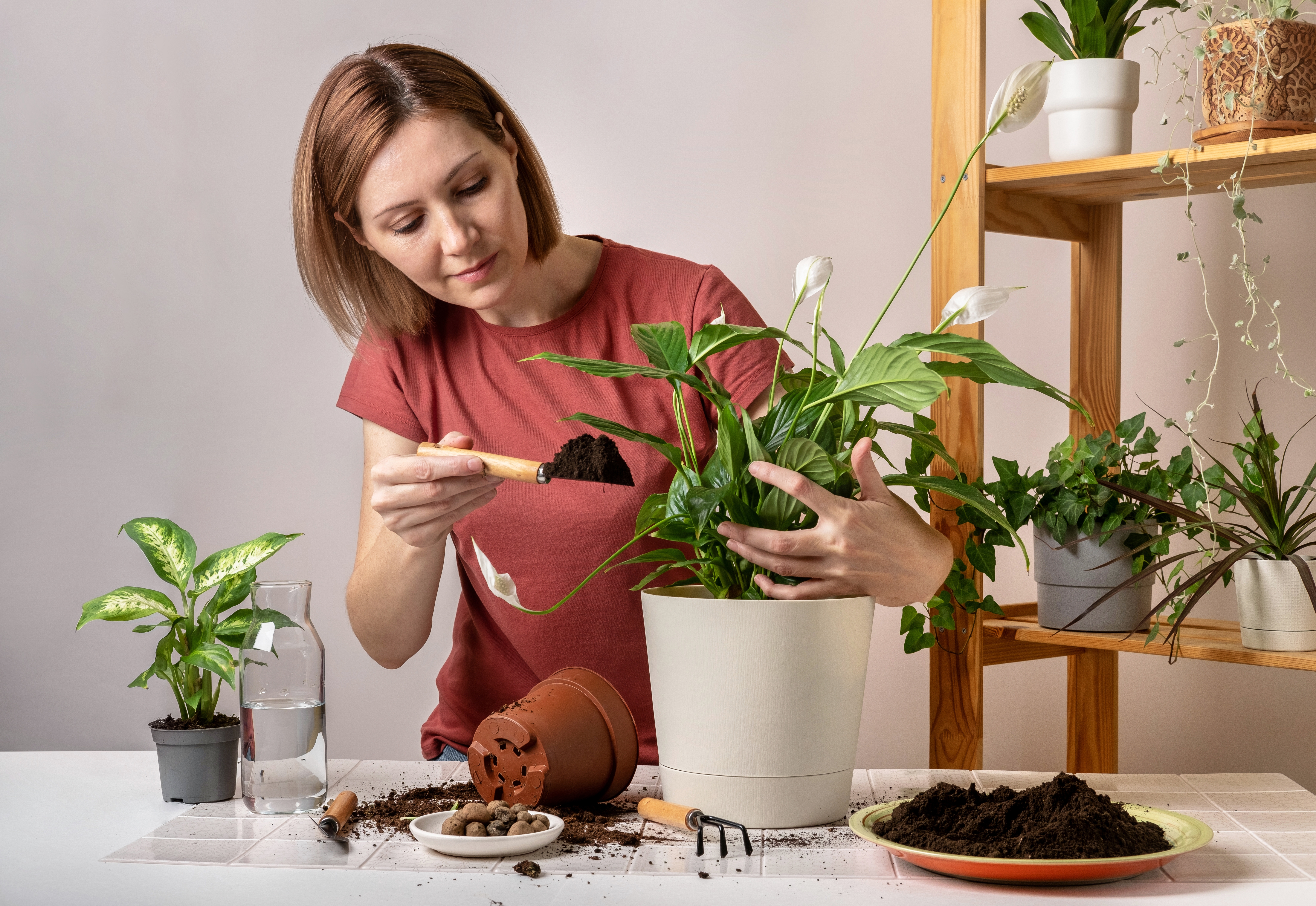 Kažu da ova biljka pomaže protiv mirisa cigareta u domu: Zidovi, zavese i nameštaj mogu ponovo mirisati sveže