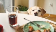 Šta nas povezuje sa labradorima (osim ljubavi)? Gen za gojaznost, kažu naučnici