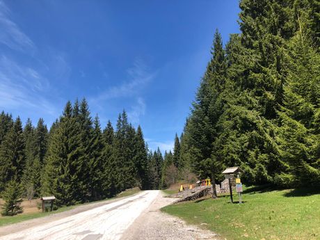 Golija