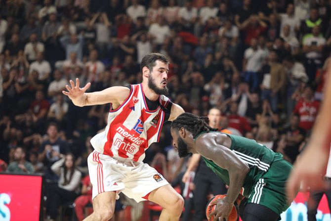 KK Crvena zvezda - KK Panatinaikos