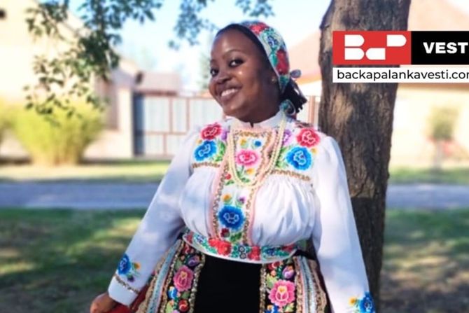 Surprise, Afrika, Bačka Palanka Surprise, Afrika, Bačka Palanka