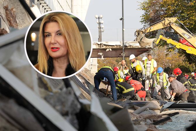 Vesna Dedić, Tragedija Novi Sad, Železnička stanica