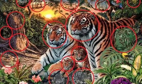 skriveni tigar skriveni tigar