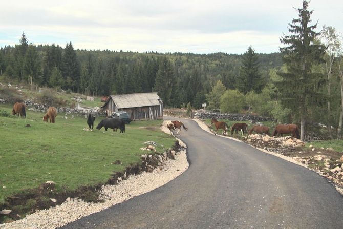 Lukići ostaju u svom Mihajlovcu