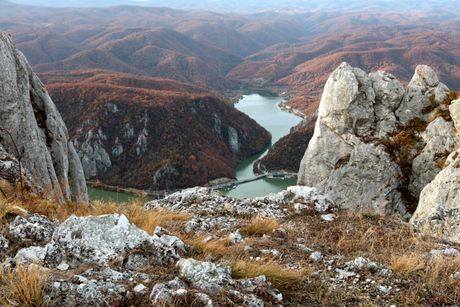 Miroč