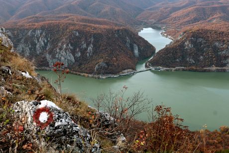 Miroč
