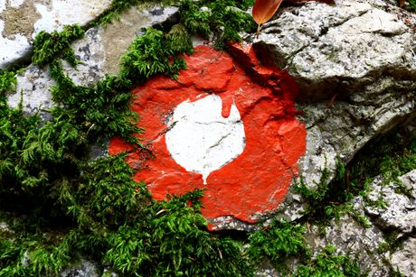 Miroč