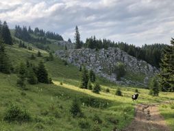 Specijalni rezervat prirode „Mojstirsko - Draške planineˮ