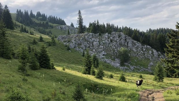 Specijalni rezervat prirode „Mojstirsko - Draške planineˮ