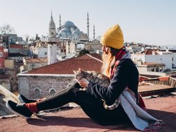 Istanbul mačke, mačka