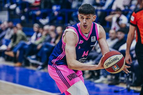 crvena zvezda kosarka aba liga