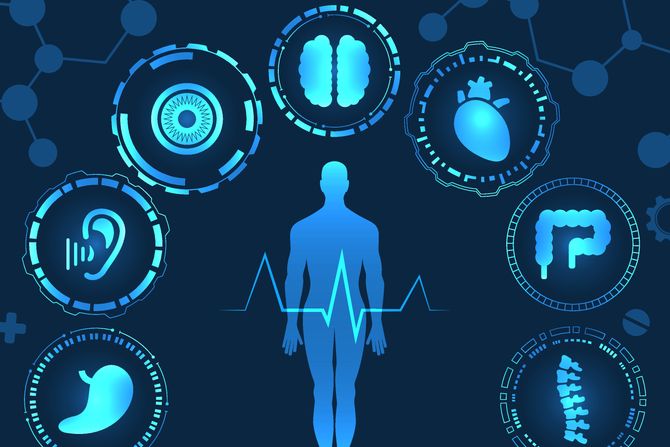 Ljudsko telo Ljudsko telo