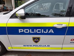Slovenija, policija