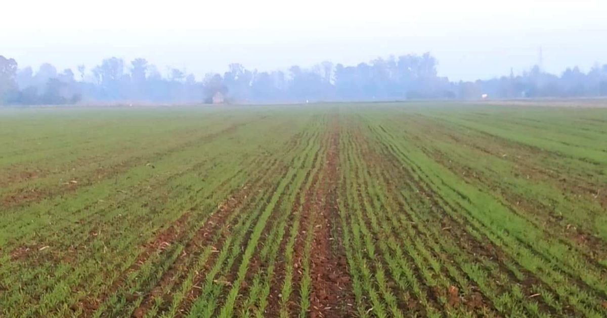 Do 18. maja otvoren konkurs za sufinansiranje nabavke sistema za navodnjavanje