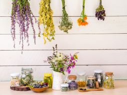 Lekoviti Bilje, biljke