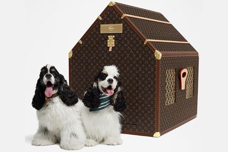 louis vuitton kennel trunk