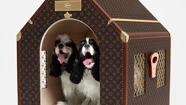 louis vuitton kennel trunk