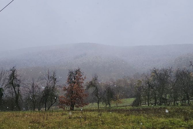 Sneg, Srbija, priroda, zima Sneg, Srbija, priroda, zima