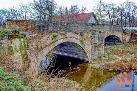 Fenj, Jaša Tomić i Šurjan