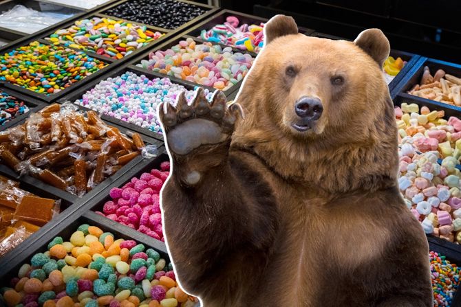 Medved u radnji Medved u radnji