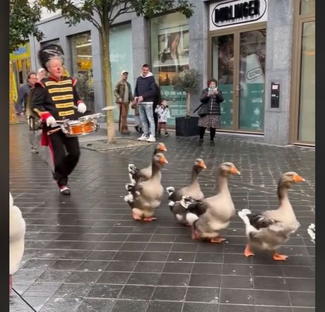 Parada gusaka u Valkenburgu