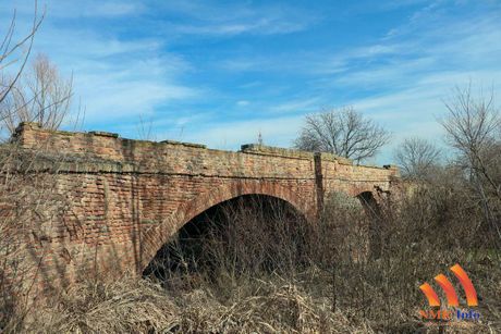 Fenj, Jaša Tomić i Šurjan