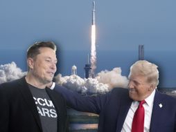 letelica donald tramp ilon mask