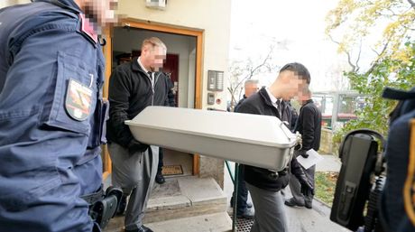 Ubistvo, majka izbola sina, Beč