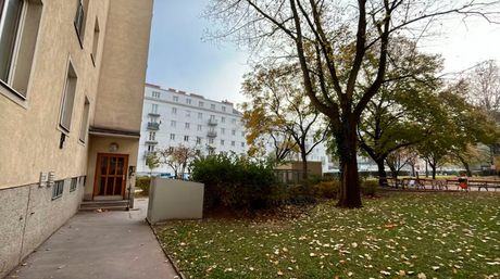 Ubistvo, majka izbola sina, Beč