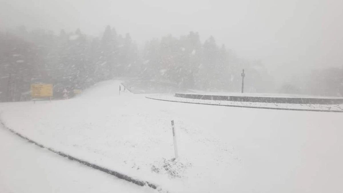 Na Kozari pronađeno telo Duška Blažića