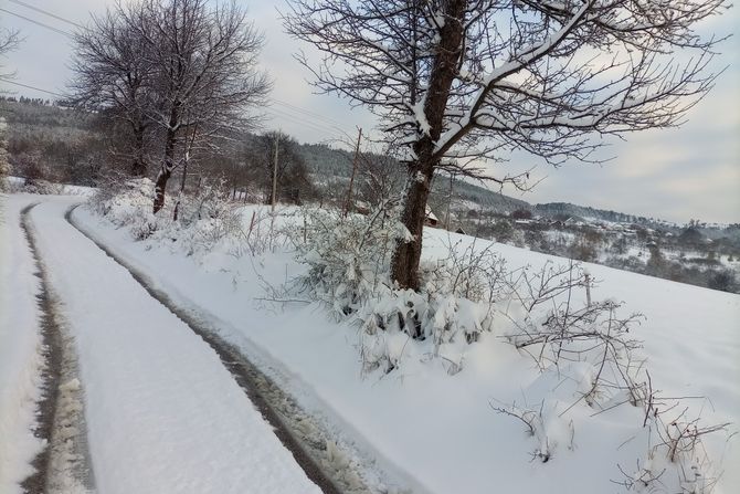 Sneg, Zlatiborski okrug