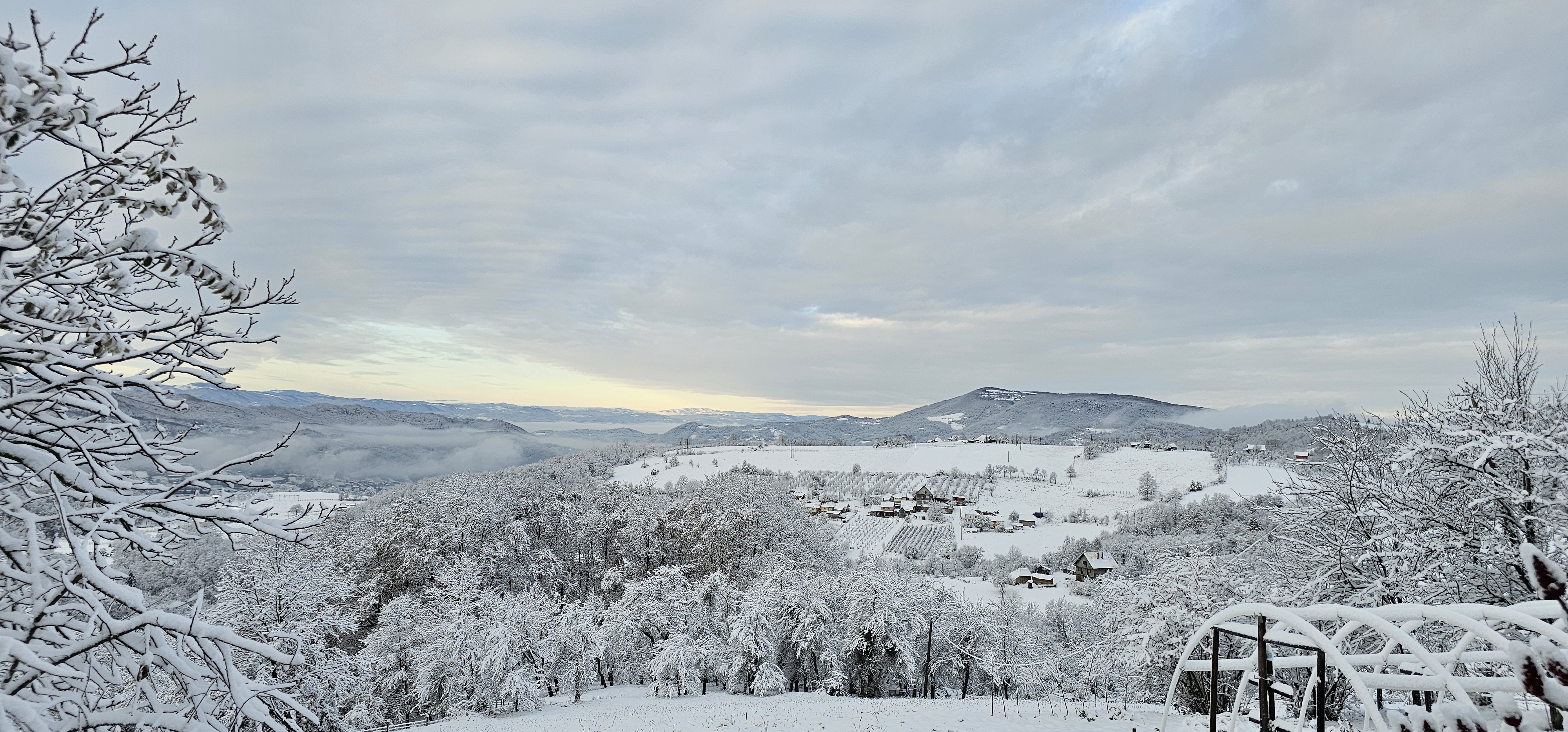 Planinari nedaleko od Srbije snimili prizor kakav se retko viđa: Zveri trče po snegu, ne mare za kamere